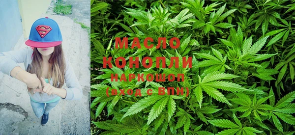 дмт Алзамай