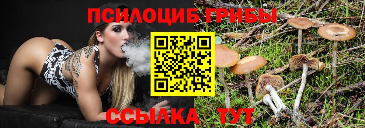 Галлюциногенные грибы Magic Shrooms Белореченск