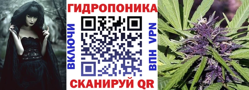 МАРИХУАНА SATIVA & INDICA  где можно купить наркотик  Белореченск 